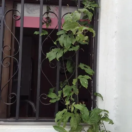 Апартаменты Magnifica Casa A 200 Mts De La Playa Puerto Colon De Membrillo *